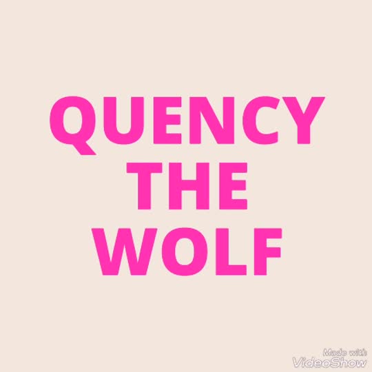 amino-💖💚Quency The Wolf💚💖-a0c287e6