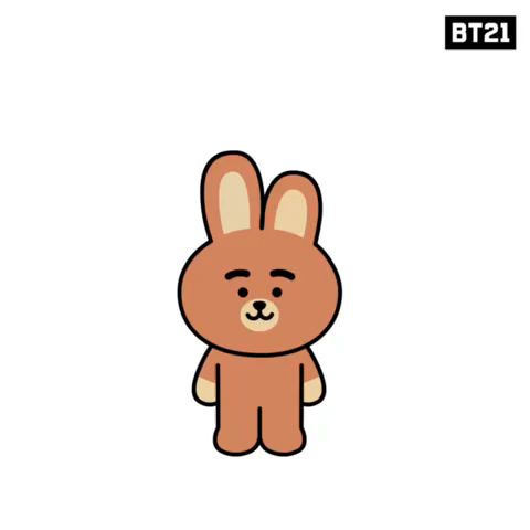 amino-BT21_kooky-89cf89fc