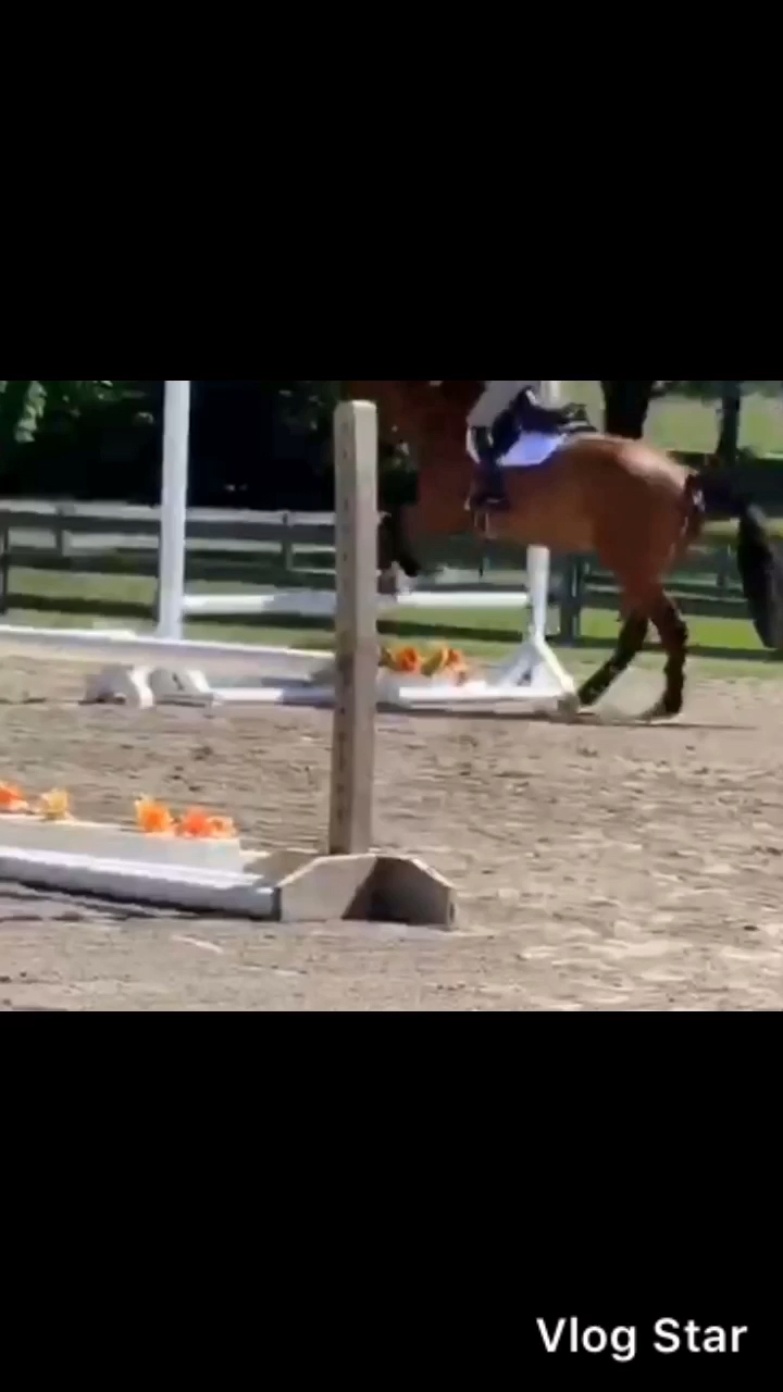 amino-ＥｑｕｉｎｅＨａｎｎａｈ-0acacc04