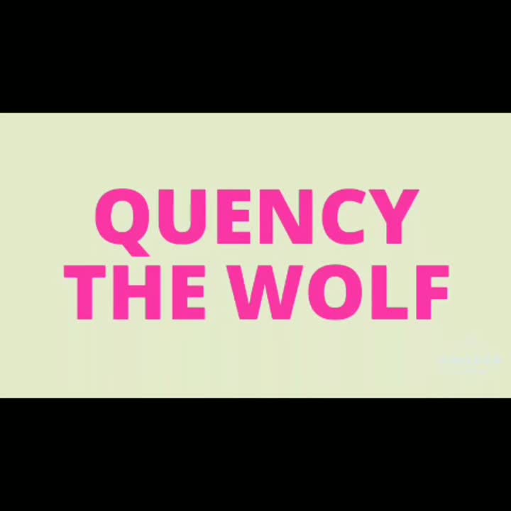 amino-💖💚Quency The Wolf💚💖-cfd4bb9b