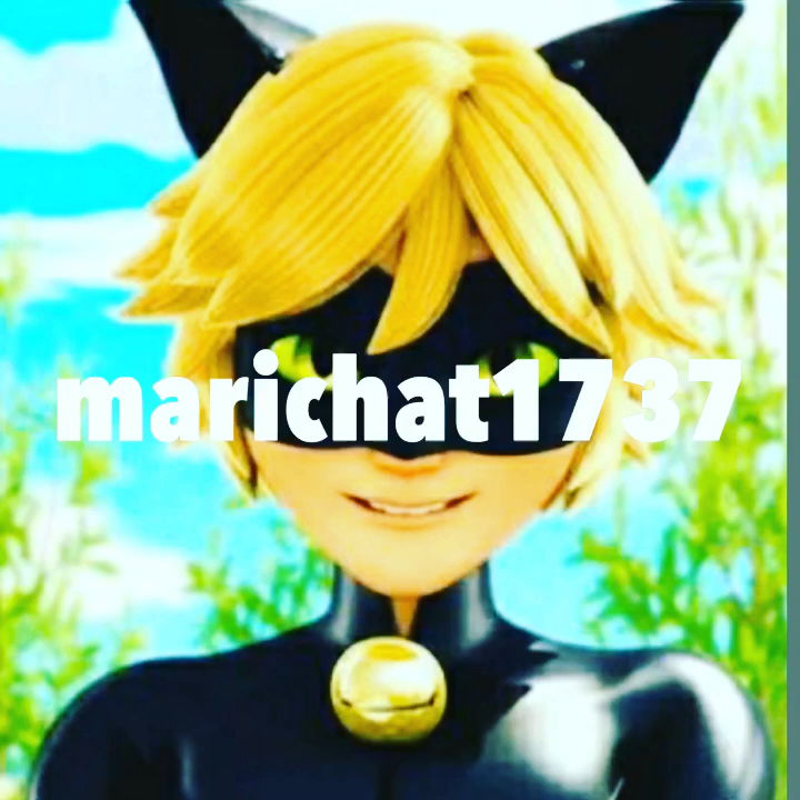 amino-chat noir-dffa72b7