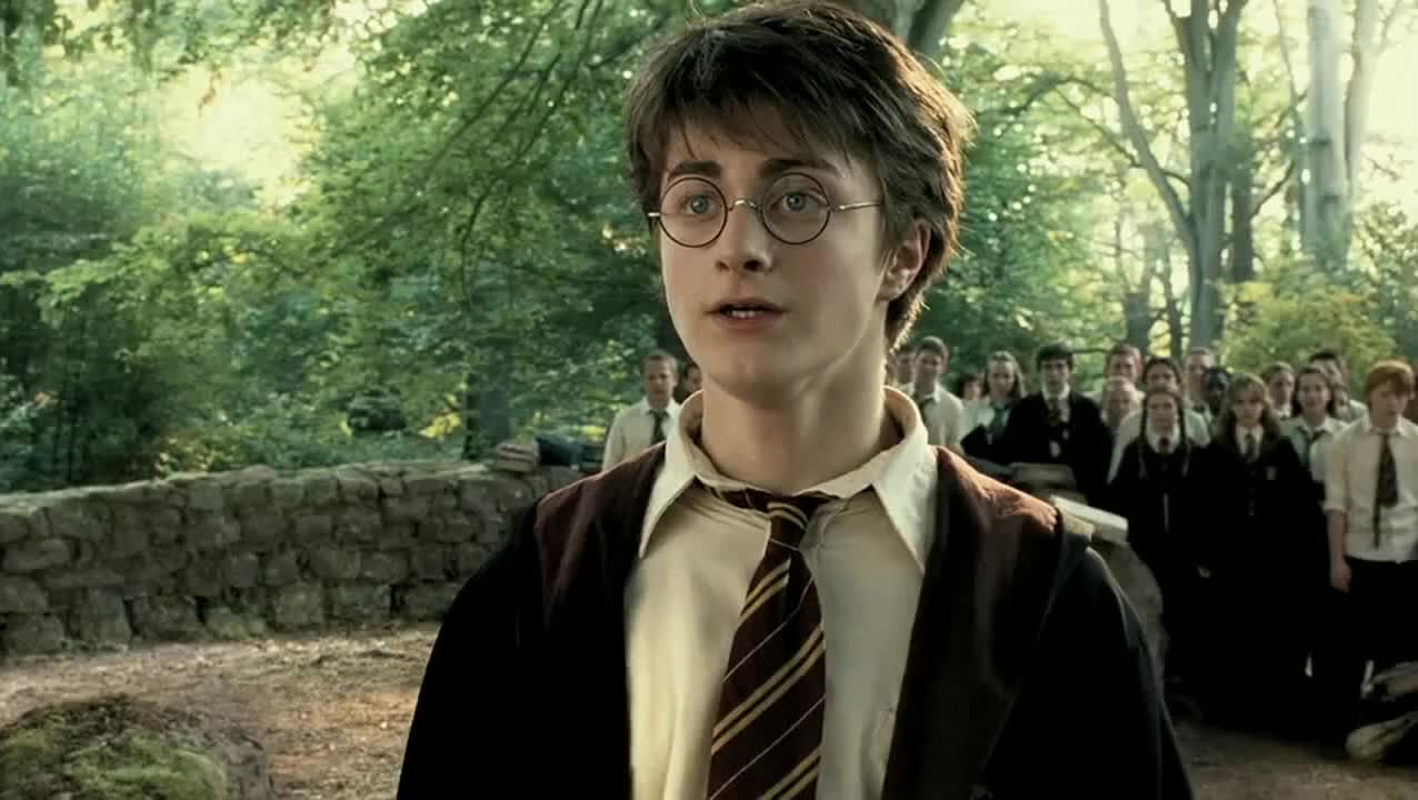 Нравится Гарри-Поттер? 