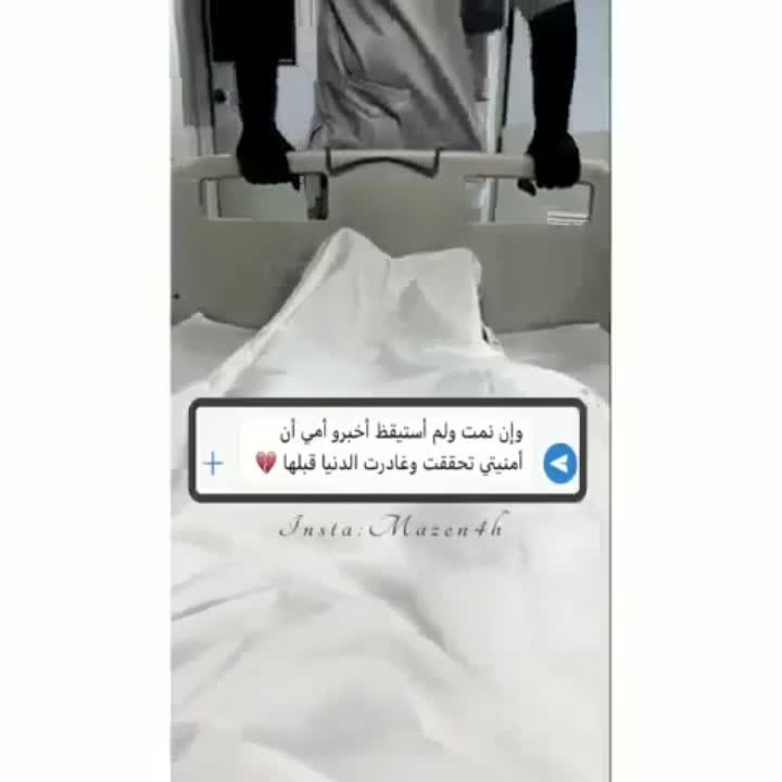 amino-المهيبه 🤴-bdc3bb90