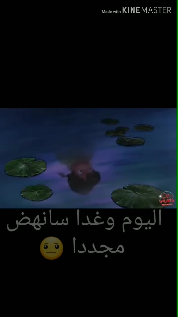 amino-سكون الليل-1b477311