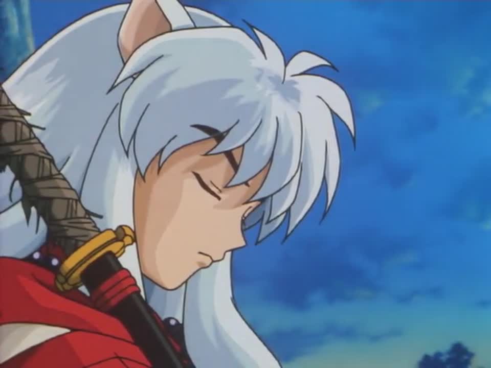 amino-Lord Sesshomaru-14e2ad14