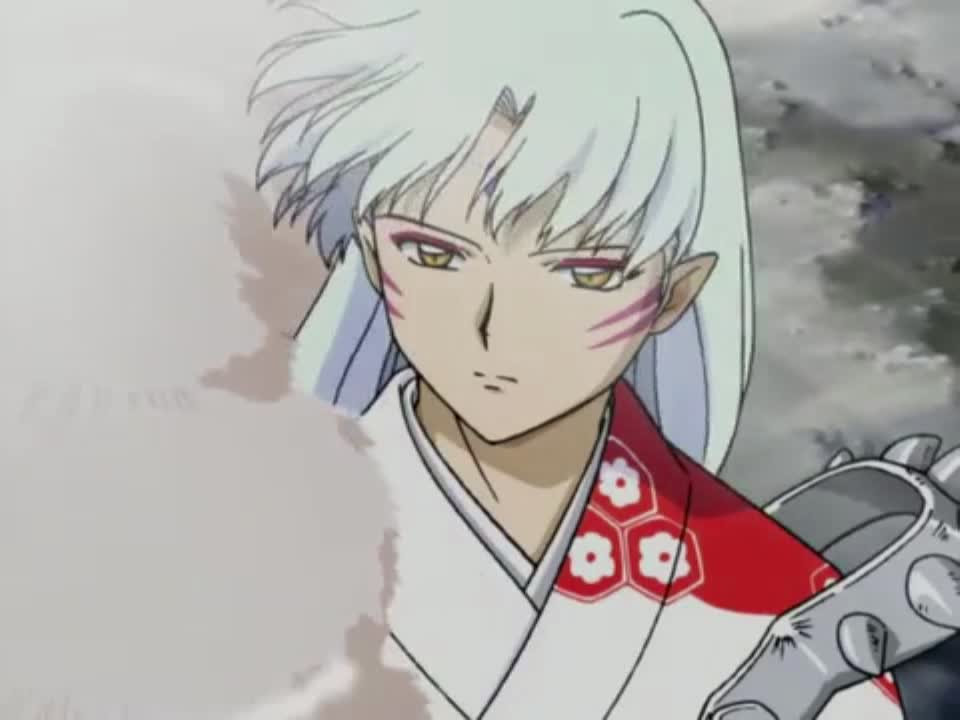 amino-Lord Sesshomaru-79564313