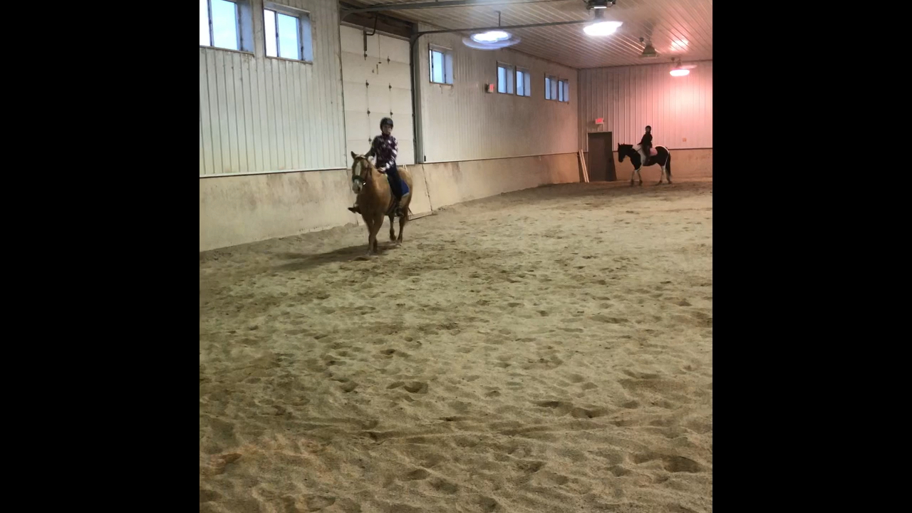 amino-Carrotime Equestrian-220ebec4