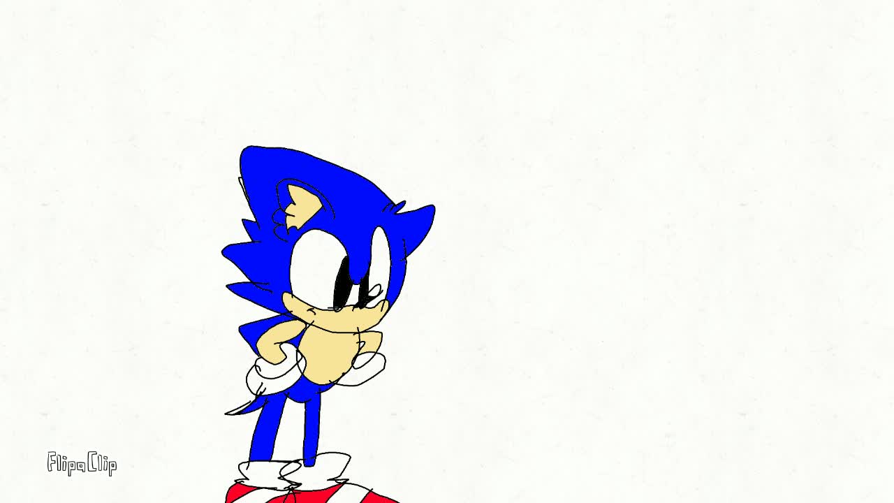 Armani Turner had drawings and animations game Sonic the