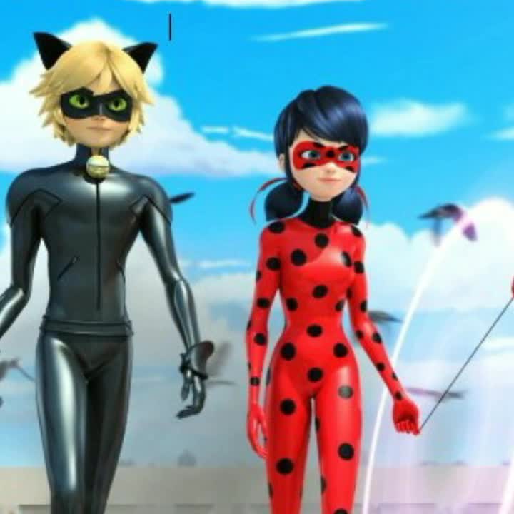 amino-ladybug-366f8853