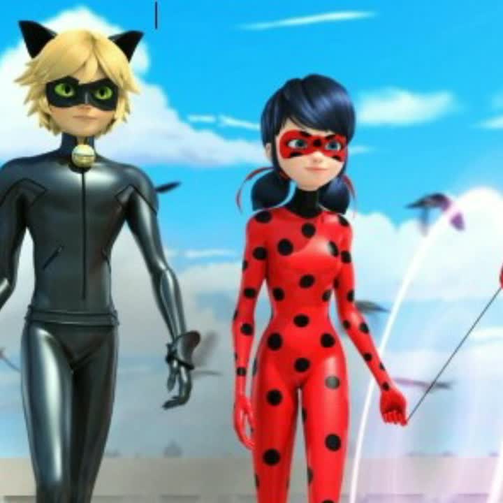 amino-ladybug-d5f7a2ba