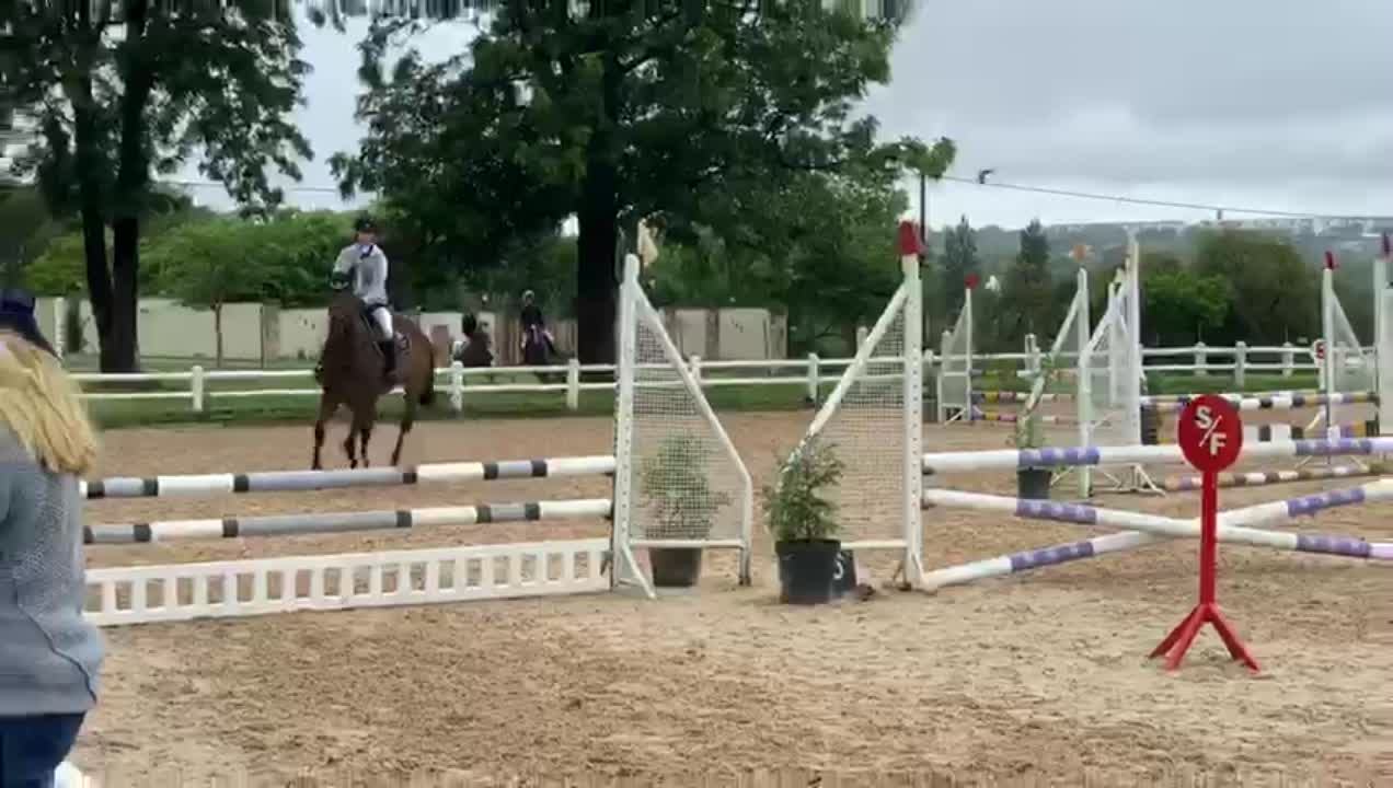 amino-Total show jumper 837-9182bd0b