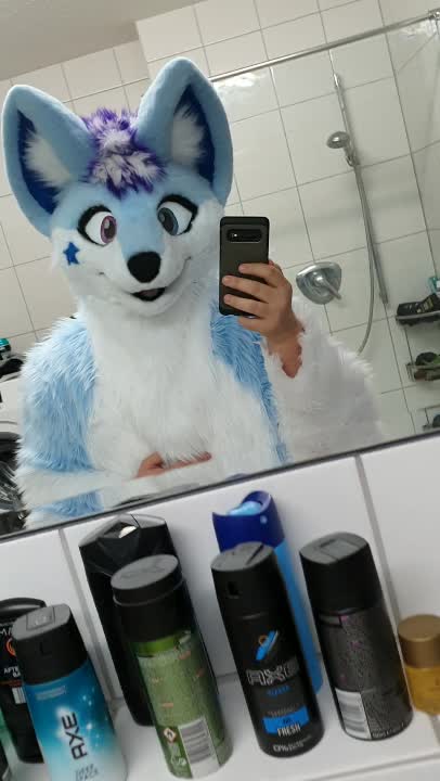 amino-Tay the ArcticFox-ee22855a