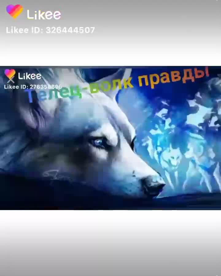 amino-🍀Акира Тян🌿-5ee754b9