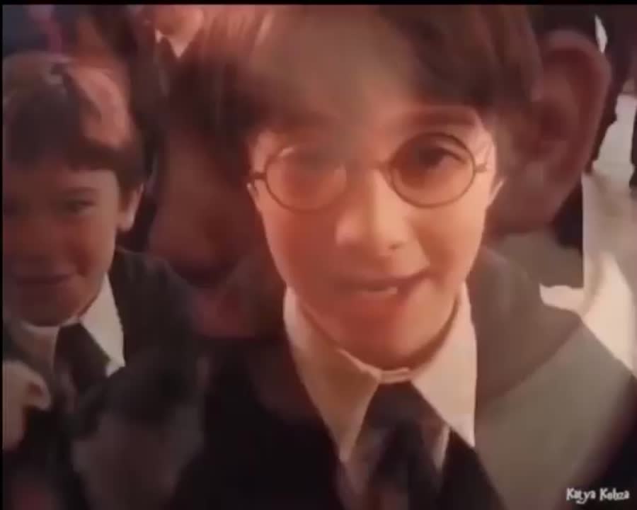 amino-Edy Potter-97d07e8d