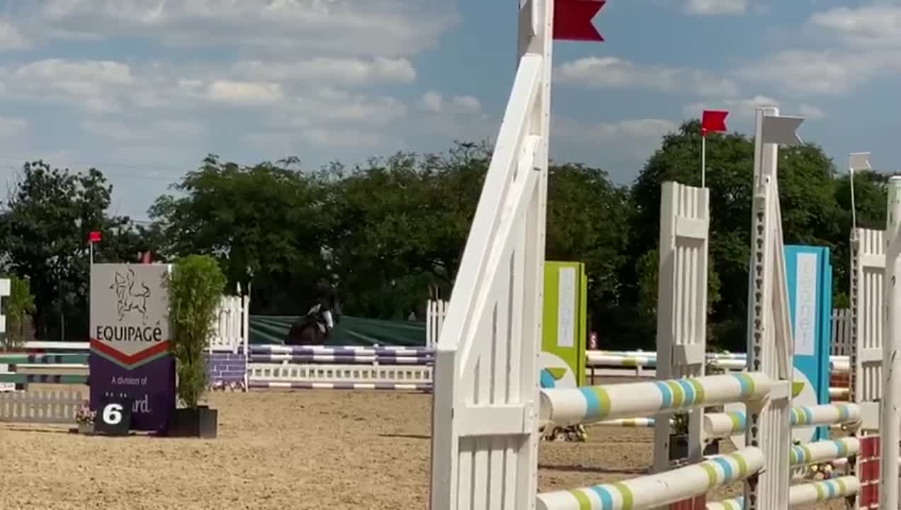 amino-Total show jumper 837-780ccc65