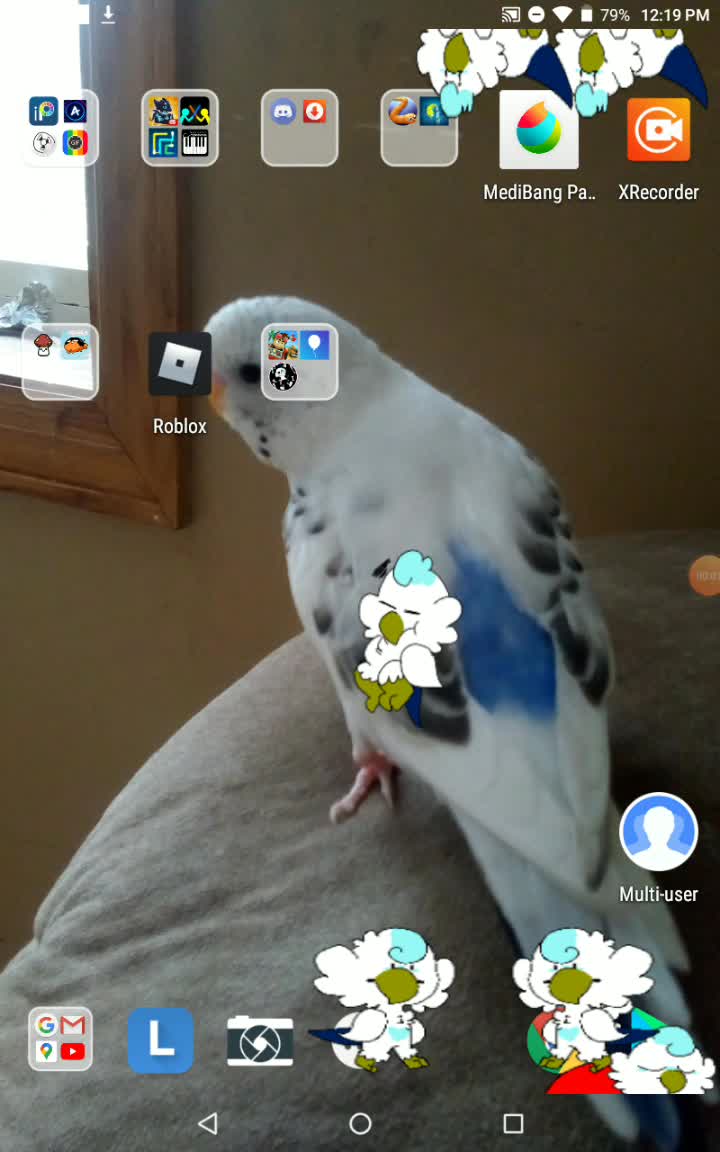 amino-Loki the budgie-48e6cd9d