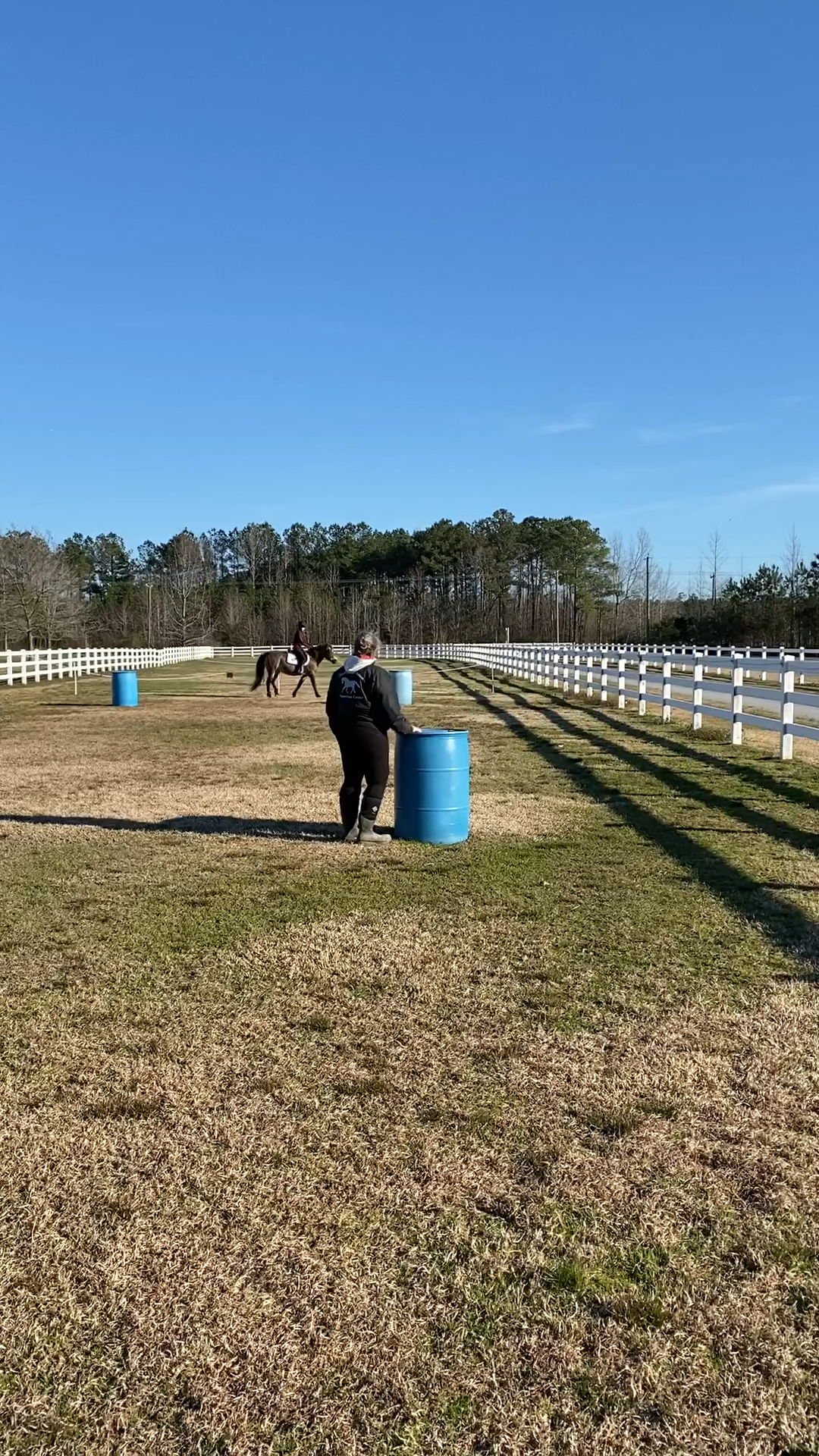 amino-Vick Equestrian-52504670