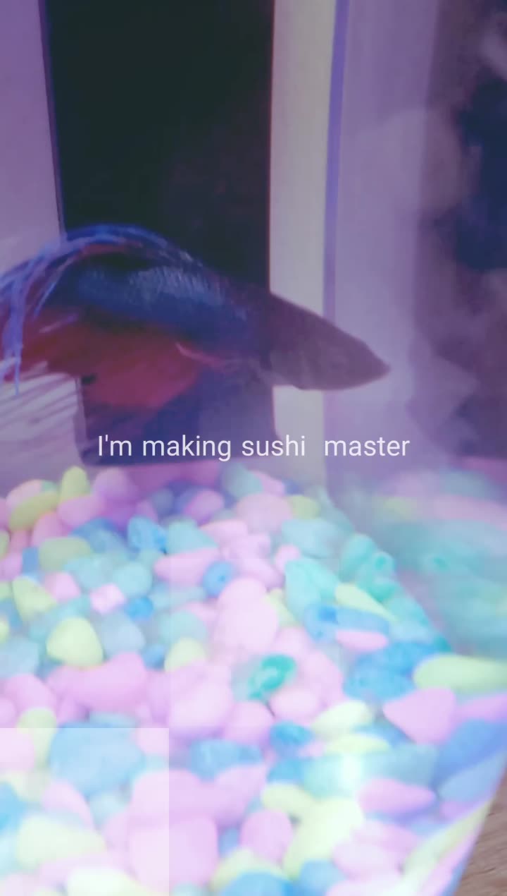 amino-sushi_the_fish/sushi roll-f7dd2d61