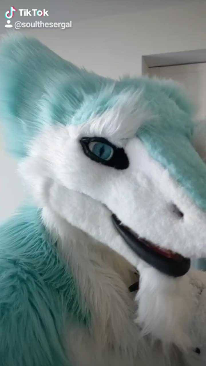 amino-Soul The Sergal-86b9a742