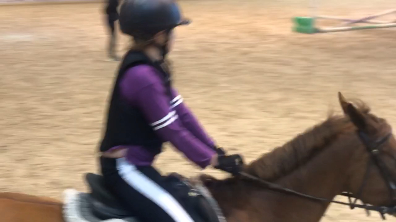 amino-Horsie rider Lisa 💜🐴-80f0da08