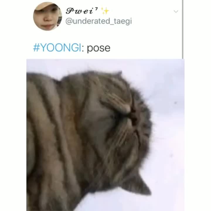 amino-Yoongles (●´з`)♡-8ce1760c