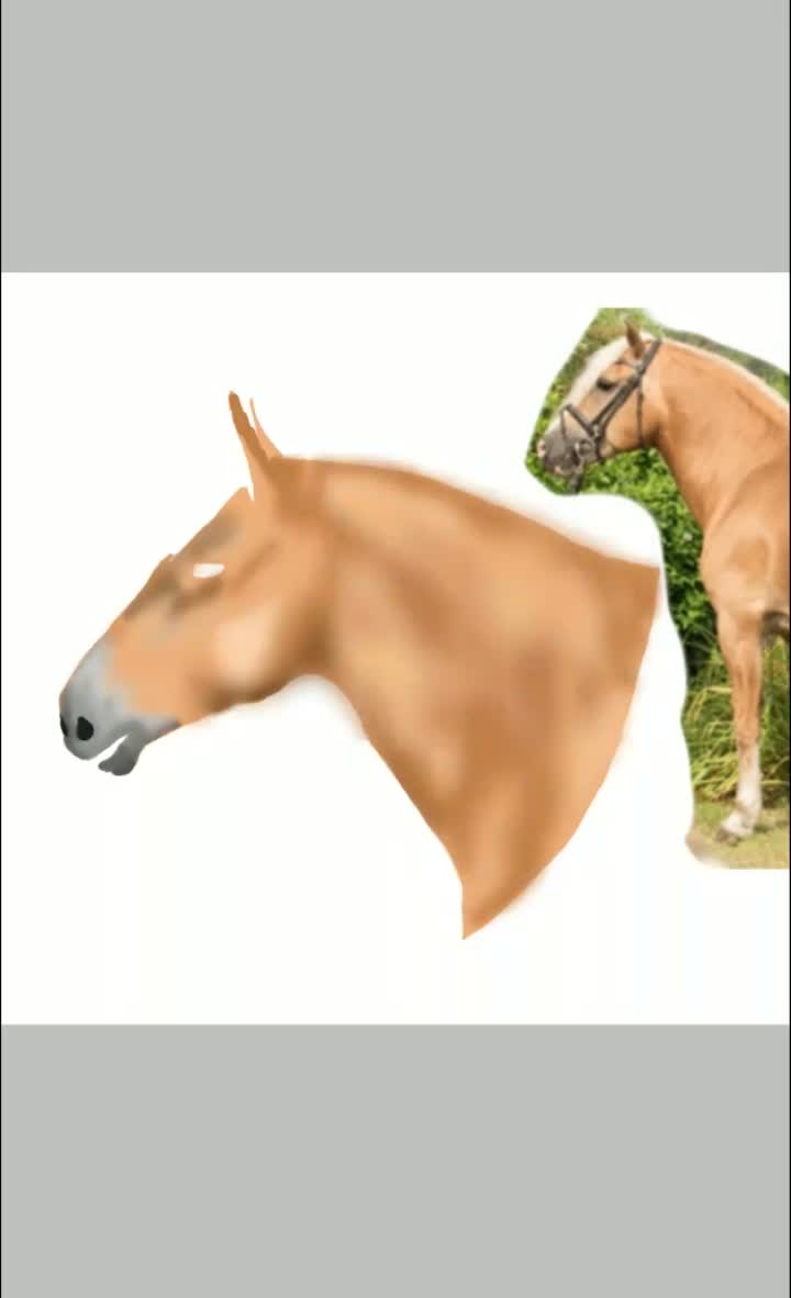 amino-Simply_Equine-6b3d6403