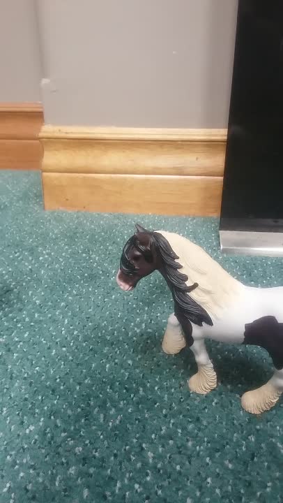 amino-Elle and schleich-e9b84502