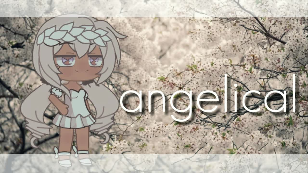 amino-ღangelicalღ-869dc8f4