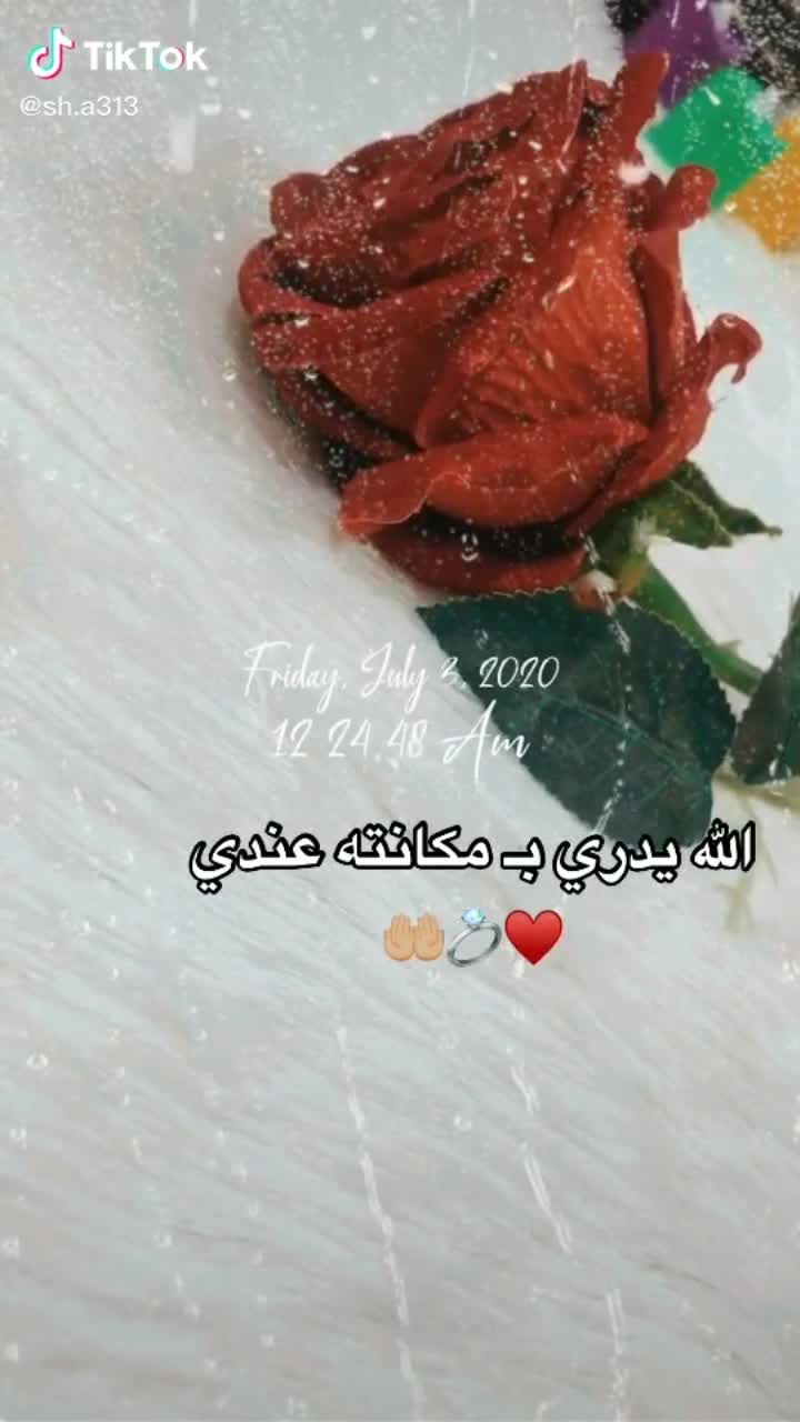 amino-مغلق-b7b2f654