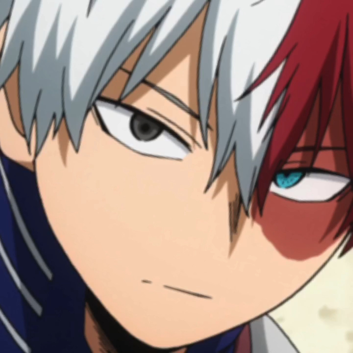 amino-Akii The Todoroki Fangirl-a86494e3