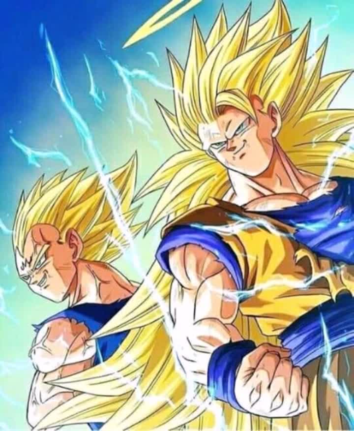 amino-🇦🇷🐺vegito ssj4🐺🇦🇷patrullero del tiempo-5f811d8f