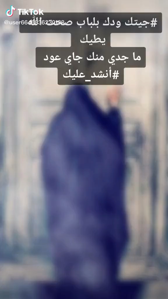 amino-❥﷼ابوحرب﷼❥ ‌ ‌ ‌-e64d9718