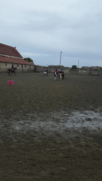 amino-Léna. passion.équitation-aa9a7933