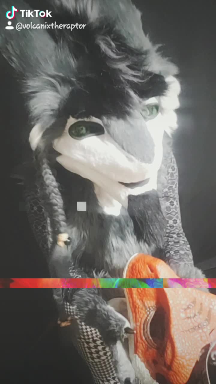 amino-VolCanix the Sergal-2bb684ea