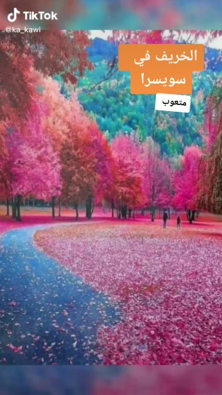 amino-🇮🇶💖💐🌟كاجومي 🌟💐💖🇮🇶-b08d9e50