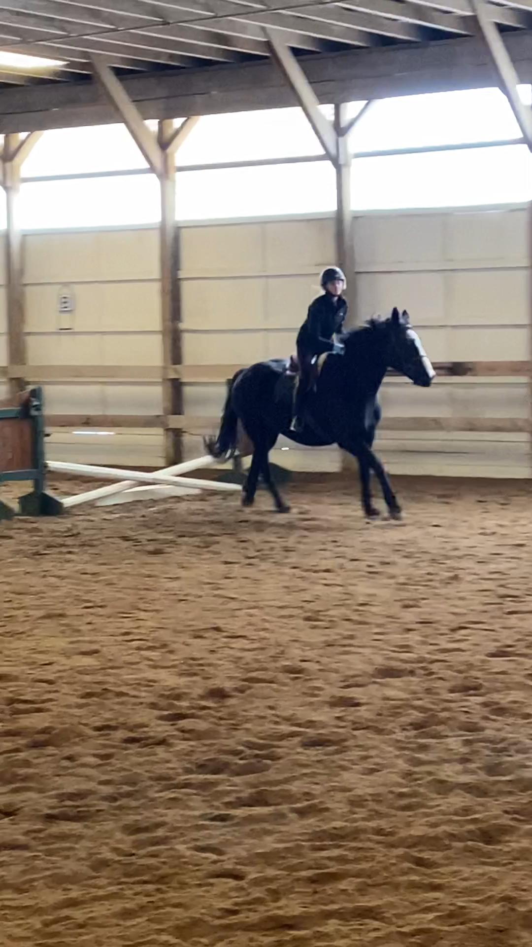 amino-emilyequestrian-ec22eeee