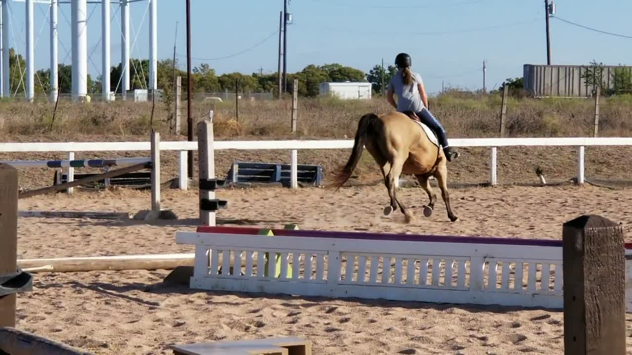 amino-Hannah Equestrian-33eb558b