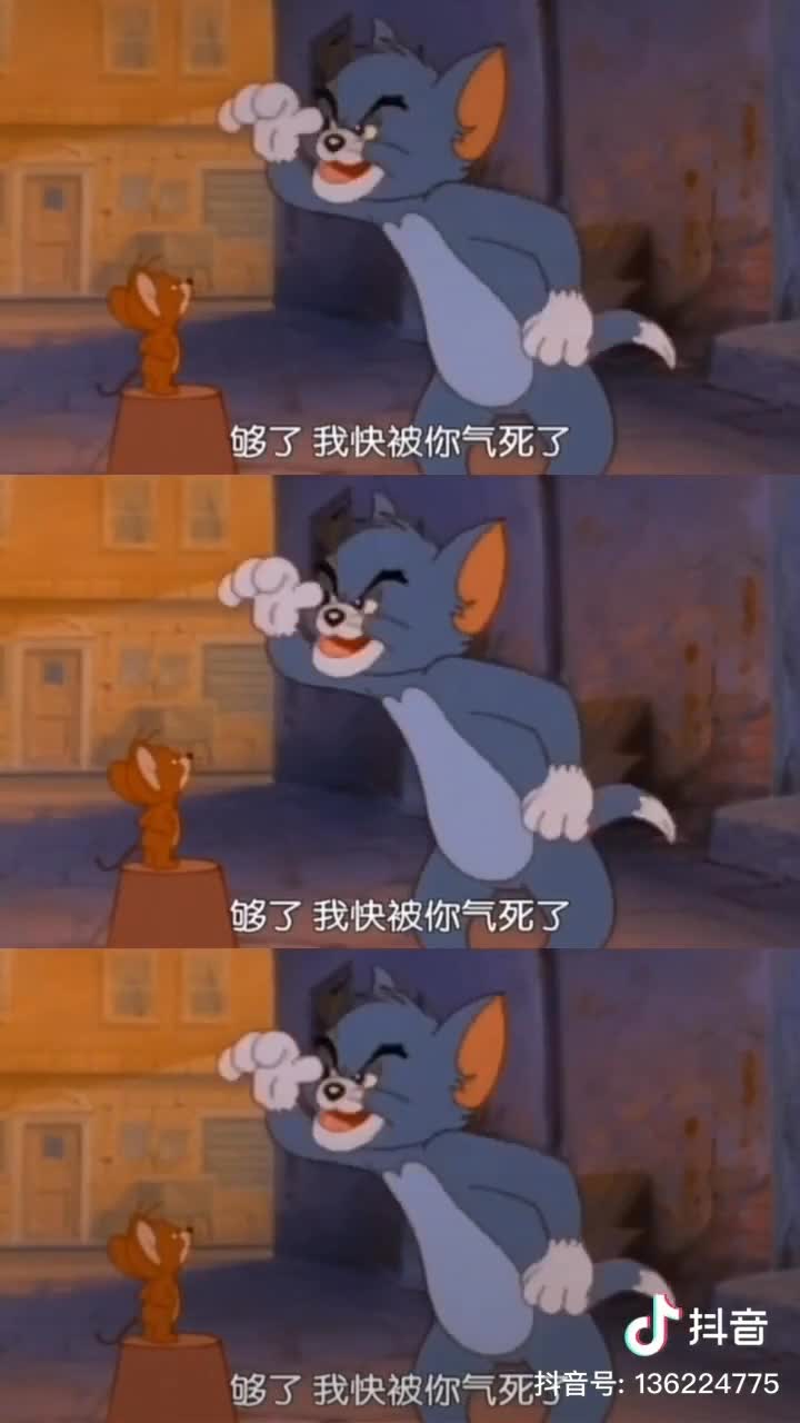 amino-Xiaolu likes Tom and Jerry-985c0912