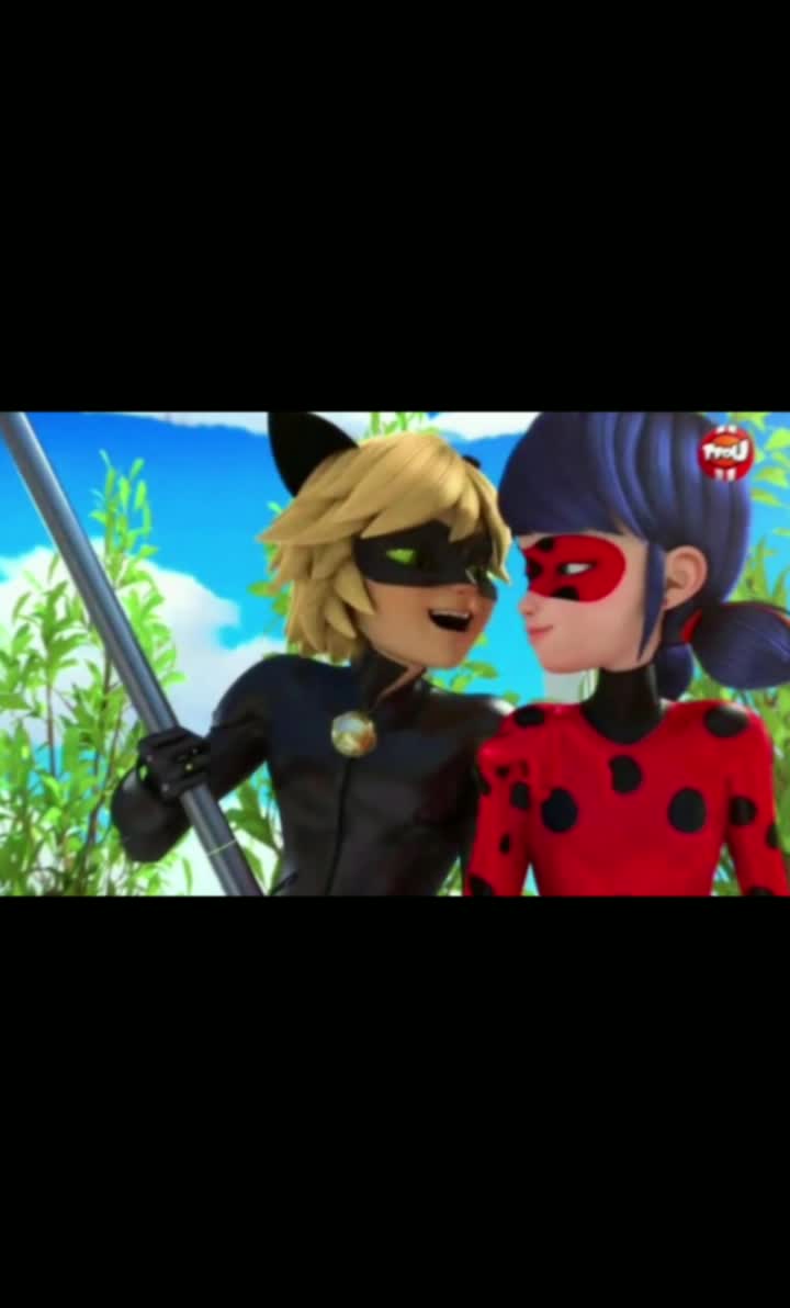 amino-Ladynoir 🐞❤🐾🖤-bb2eadcb