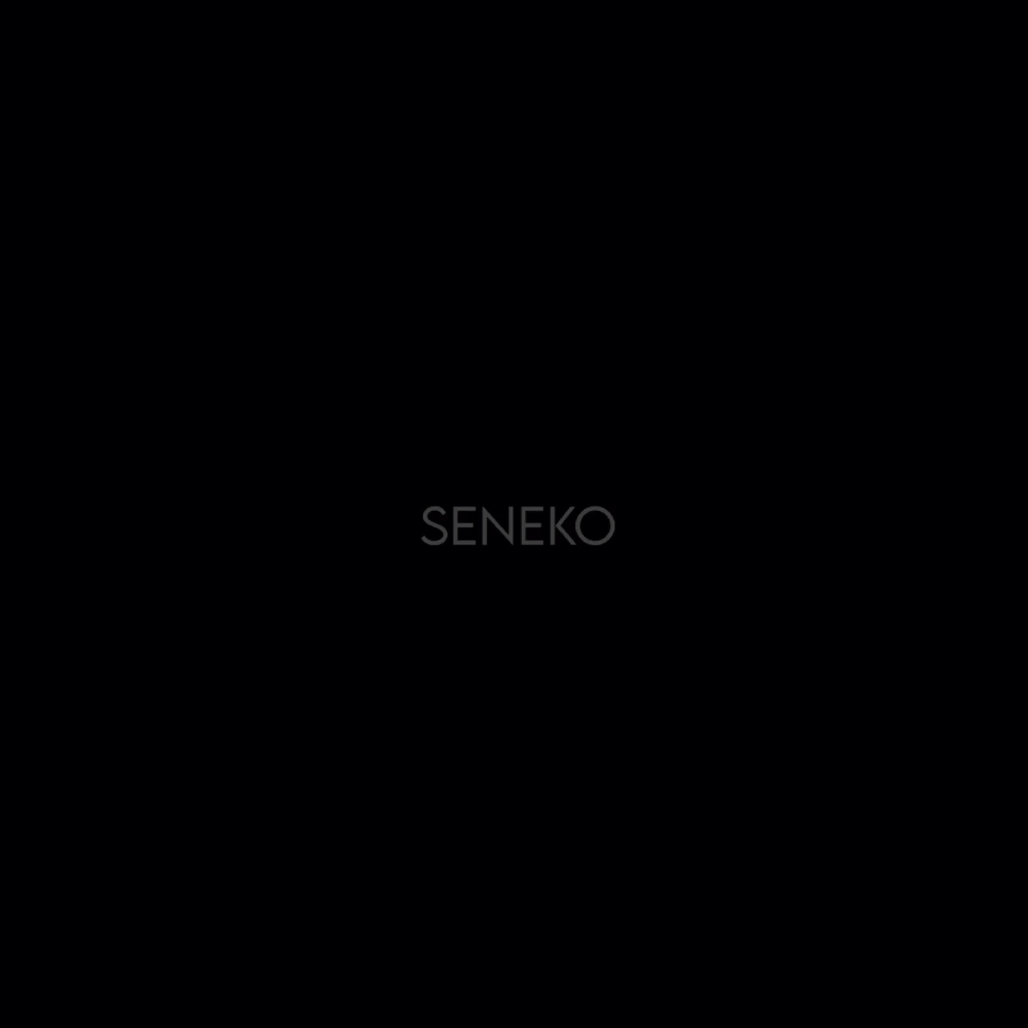 amino-Seneko-7c2b54f7