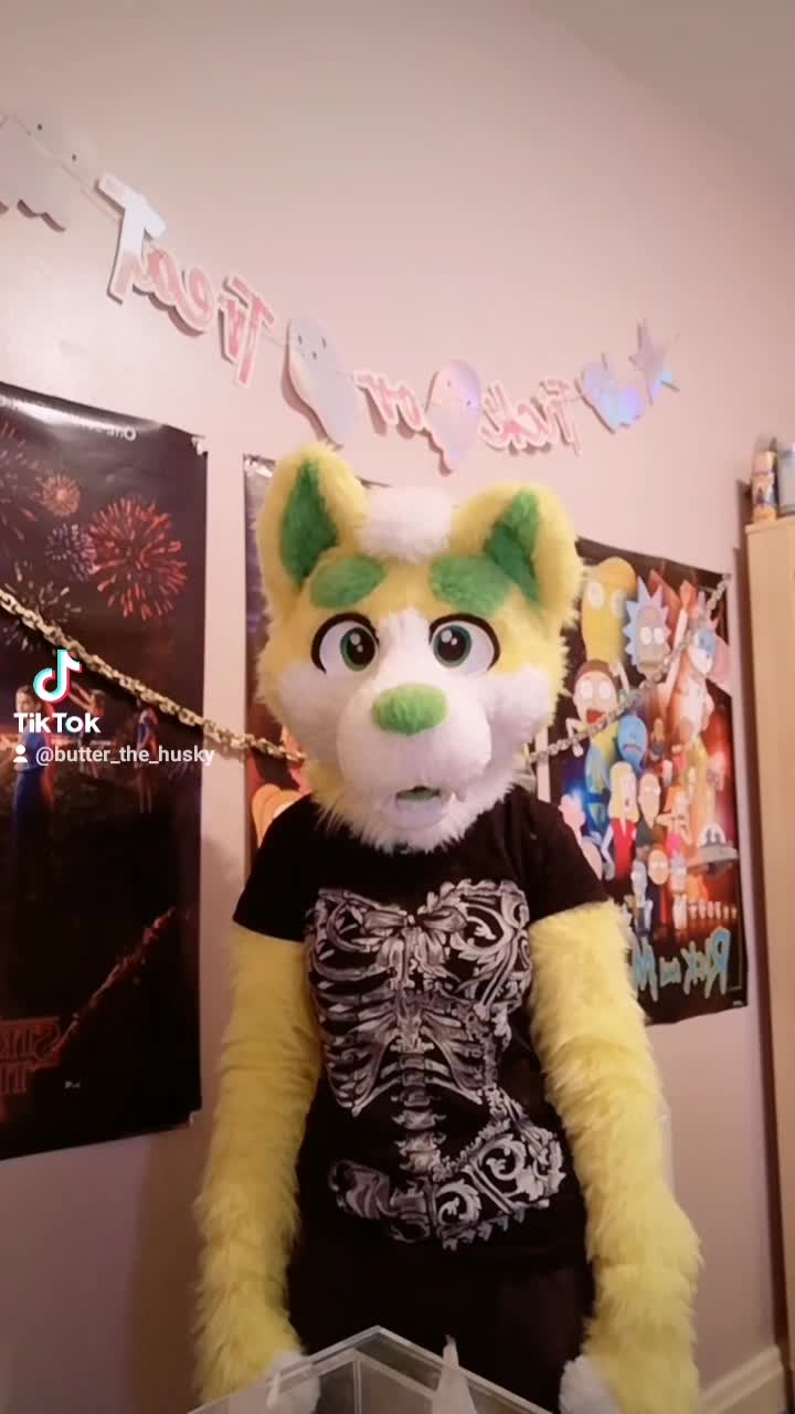 amino-💛Butter_The_Husky™💛-9d0ece59