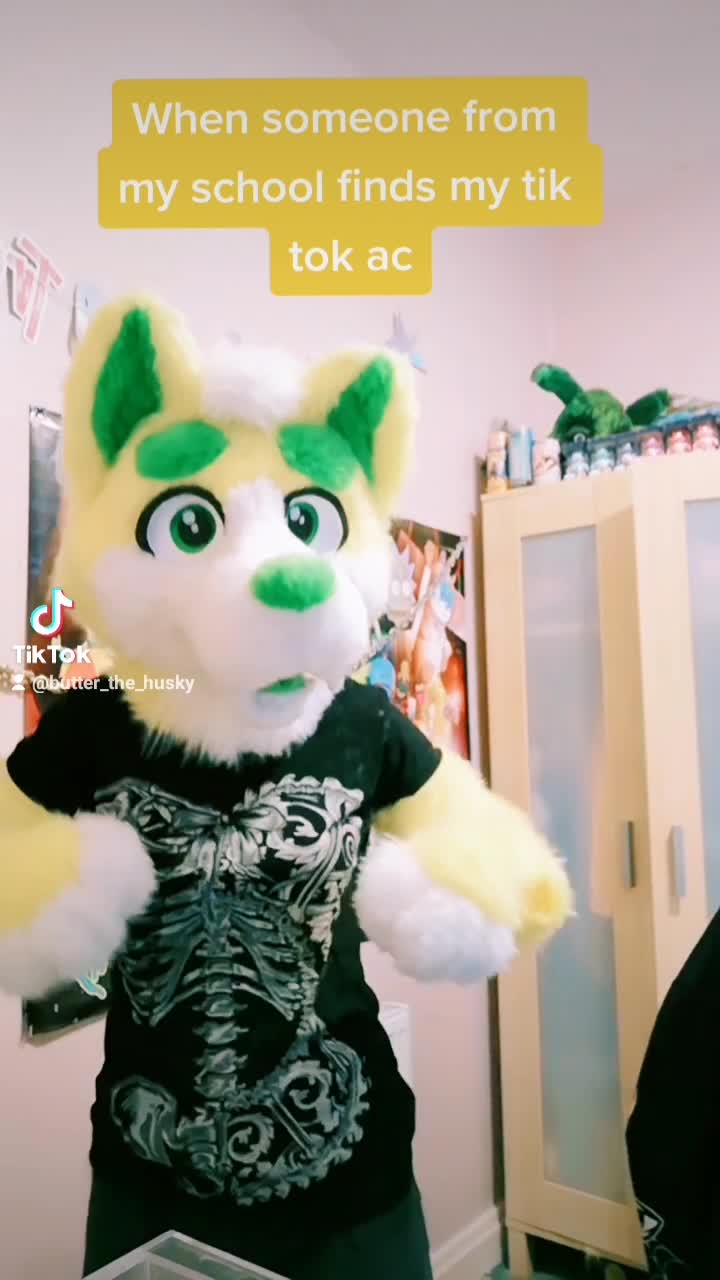 amino-💛Butter_The_Husky™💛-5c803ca3