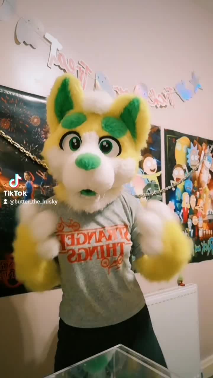 amino-💛Butter_The_Husky™💛-45d9c436