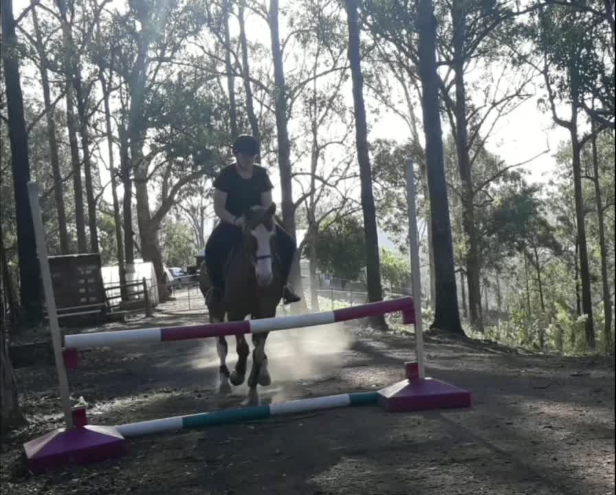 amino-Saraht_eventing-24f1e1da