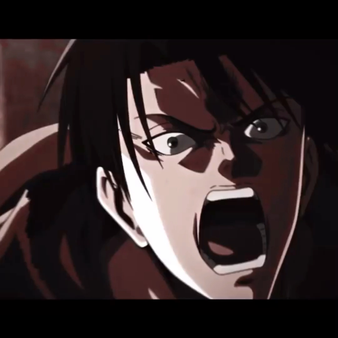 amino-🍒;»mikasa-74e476b8