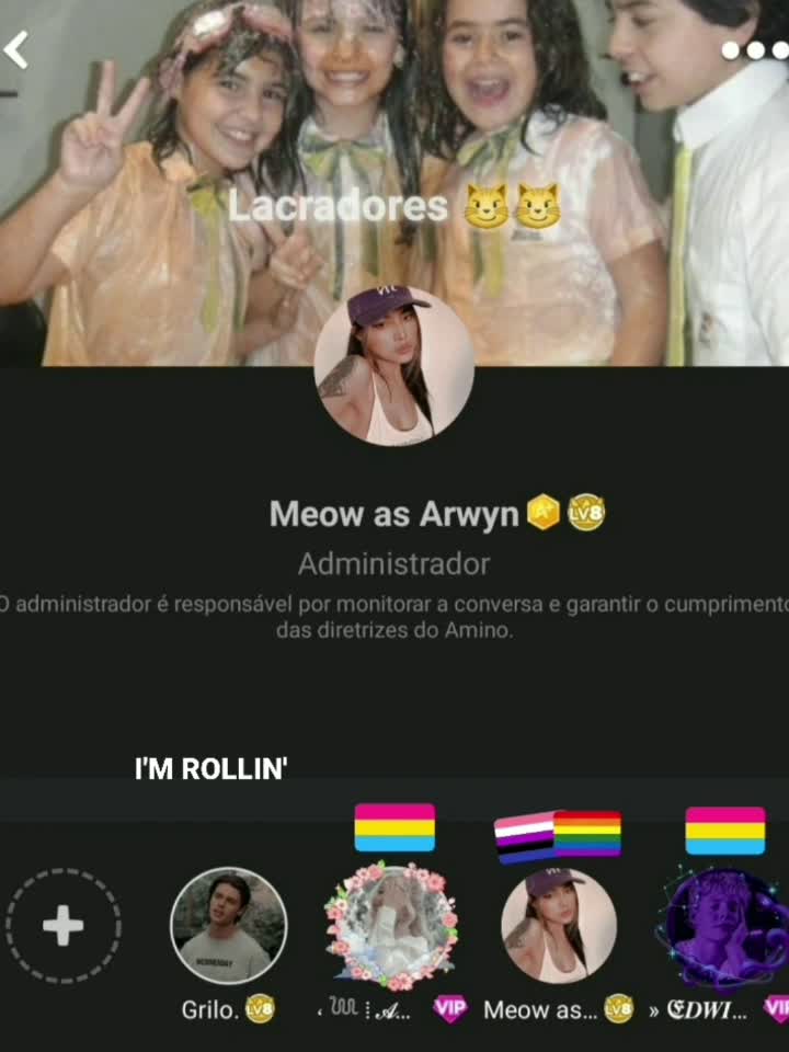 amino-Meow as Arwyn-a1ea2c2c