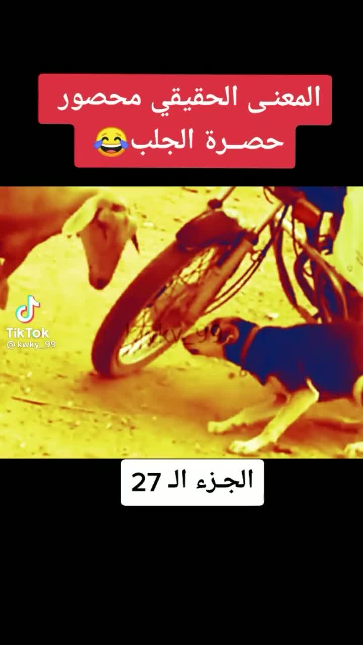 amino-اིبᤠن྄༹ اིلཻعرٰاིقᮭ 𖠕💪-cd0e4b4b