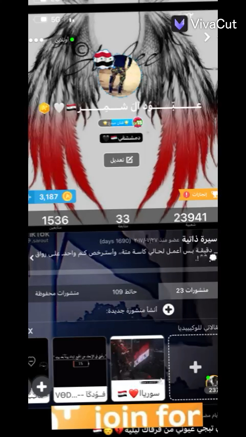 amino-عــــــــبّـــــــوُد آلَ شــــمِــــــــر🇸🇾-289411b8