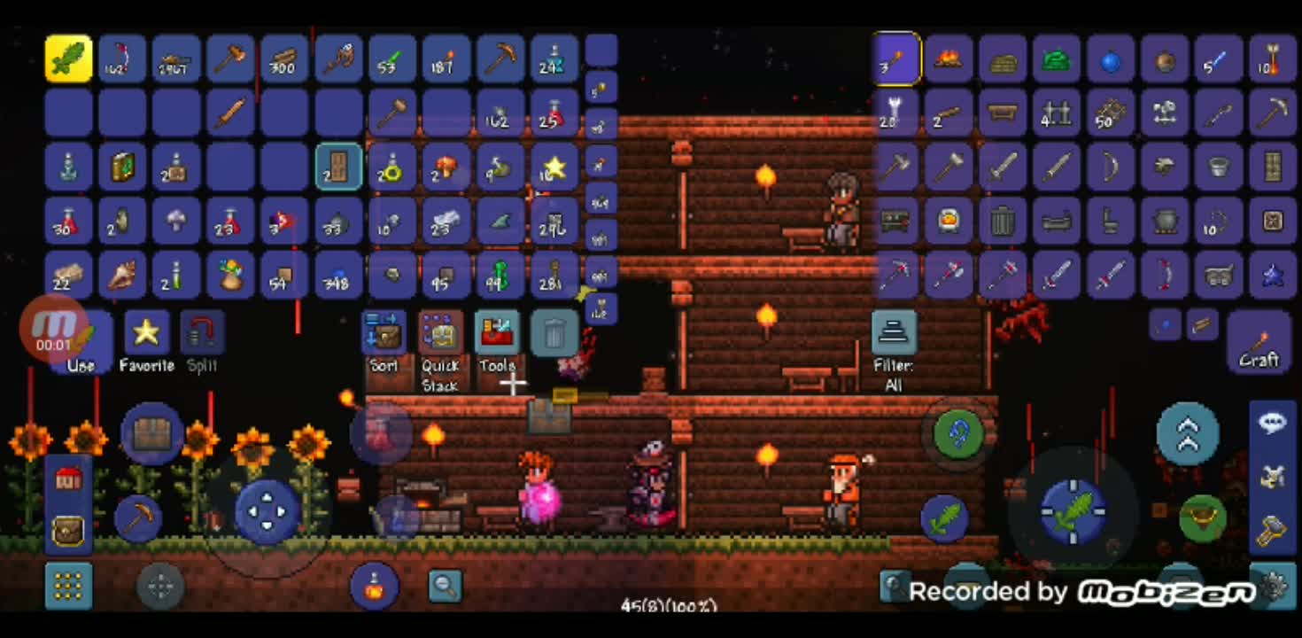 amino-Average Terraria Enjoyer-4f342991