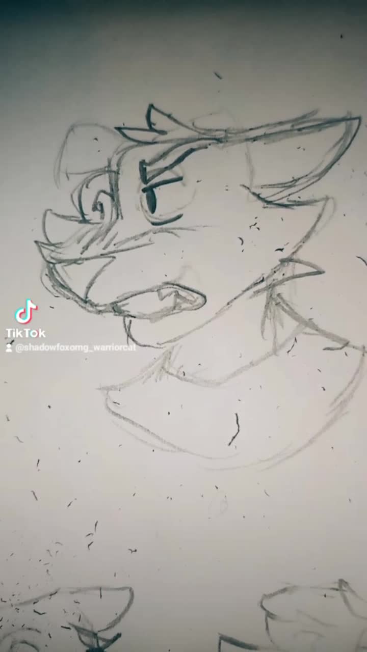 amino-🌿🦈❄️Shadowfire_draws❄️🦈🌿-0d59e8bb